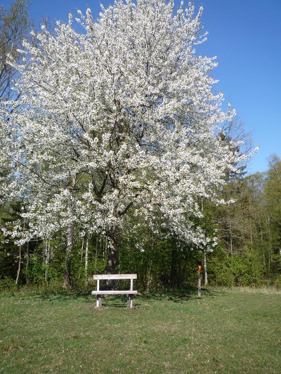 Valle Vandrarhem Ostello Axvall Esterno foto