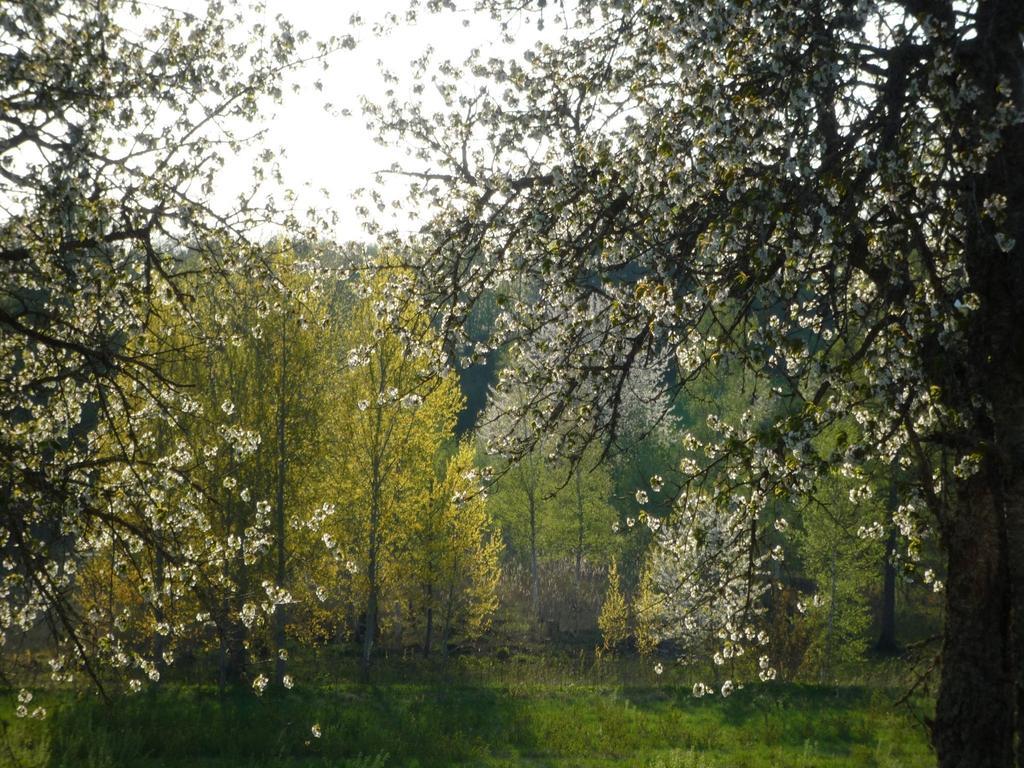 Valle Vandrarhem Ostello Axvall Esterno foto